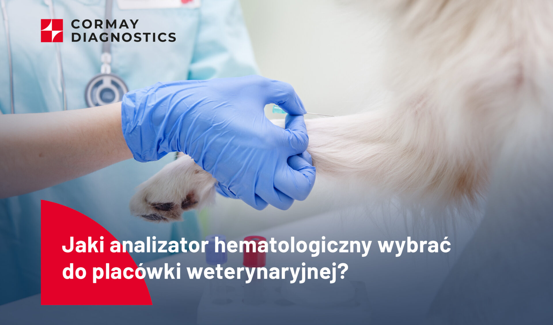 Jaki analizator hematologiczny wybrać do placówki weterynaryjnej?